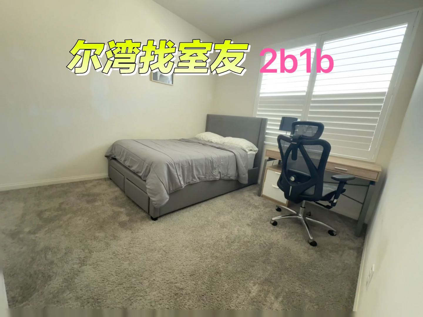 尔湾商业区1b1b和2b1b分租室友