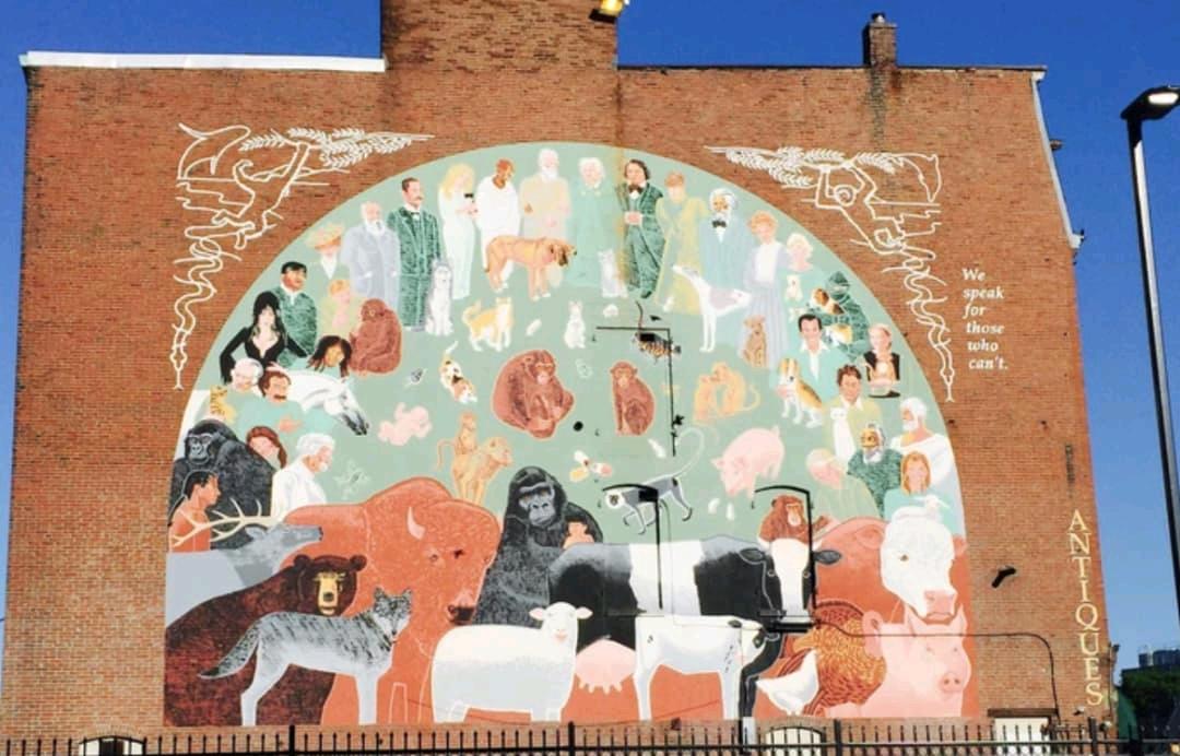 波士顿跳蚤市场推荐