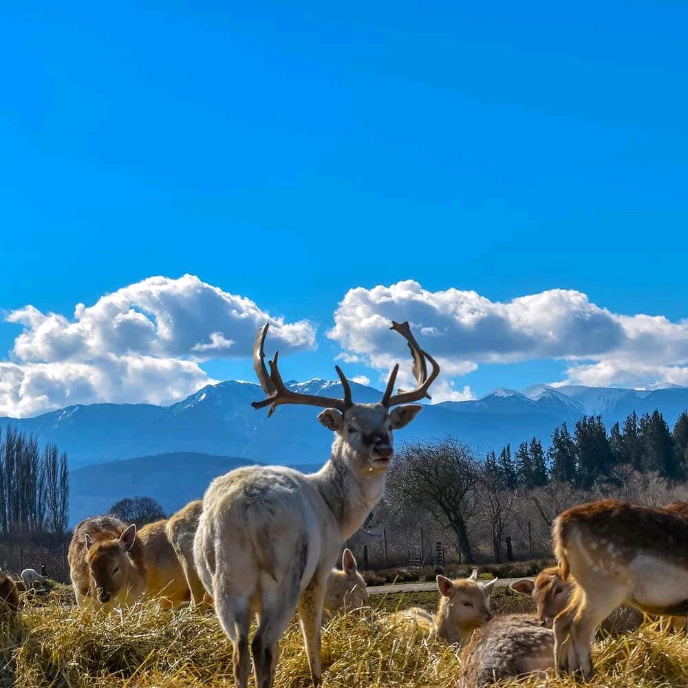 西雅图农场大盘点