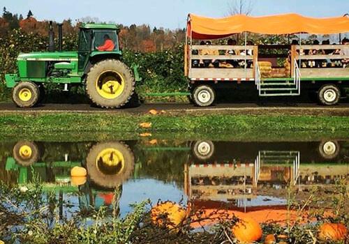 西雅图农场大盘点