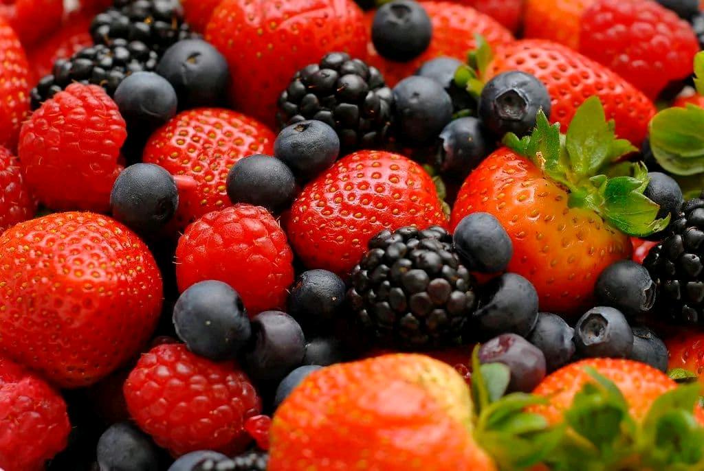 西雅图农场大盘点