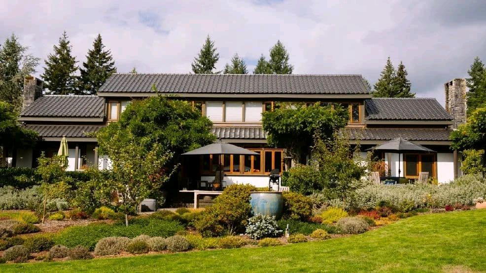 一起来Vashon island 撒野