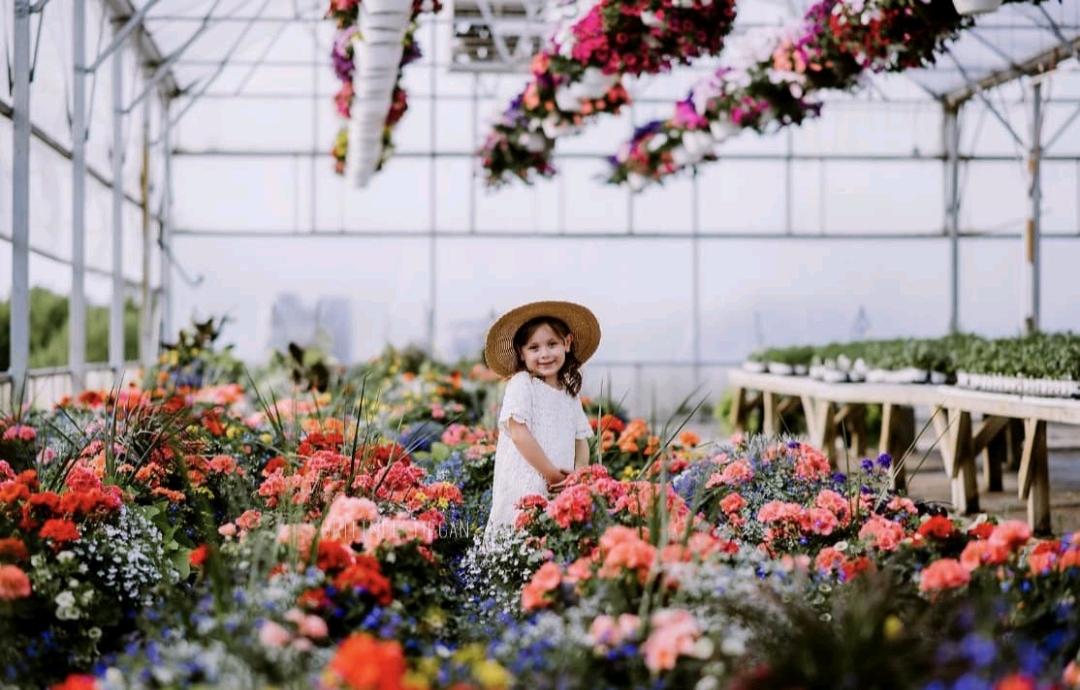 印第安纳农场盘点