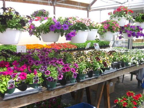 威斯康辛的农场盘点