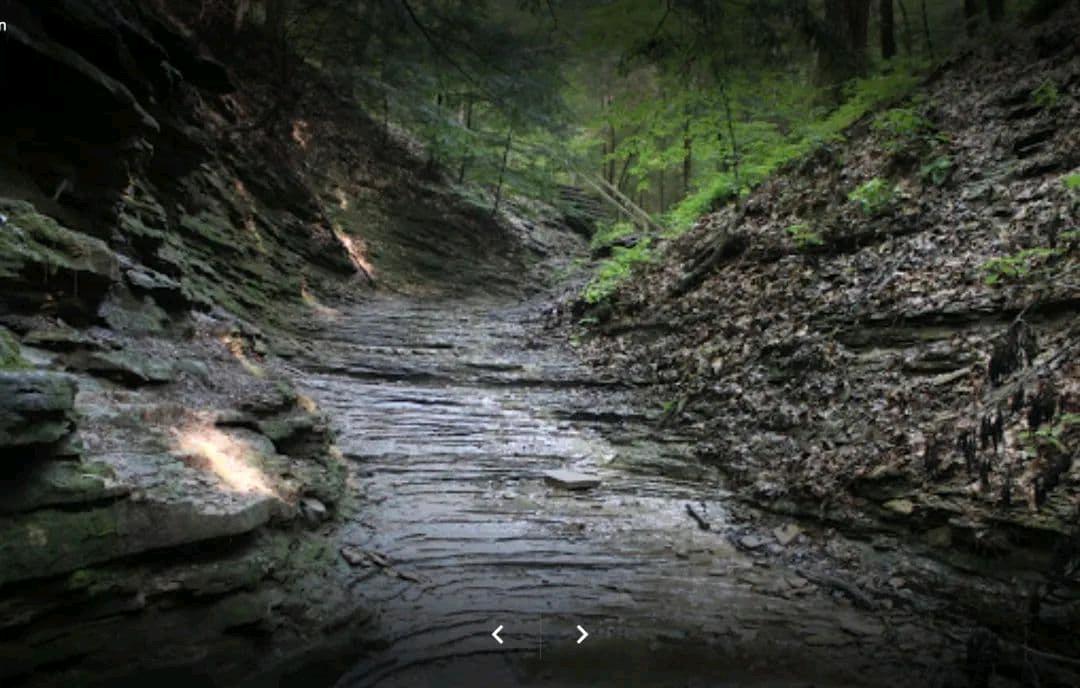 Turkey Run State Park 一日游