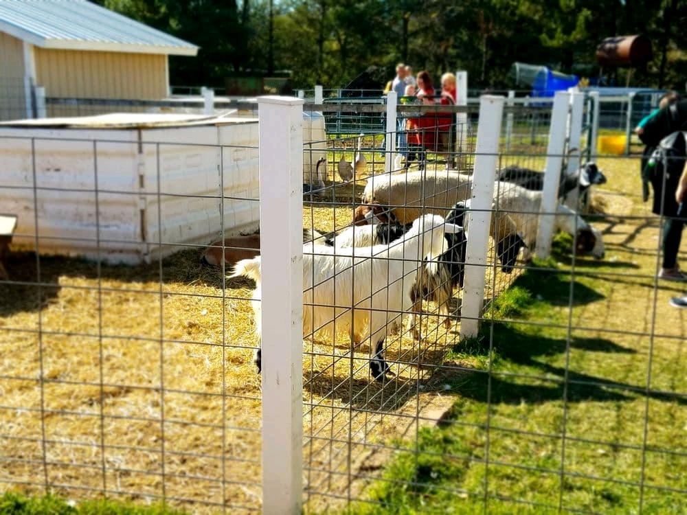 威斯康辛的农场盘点