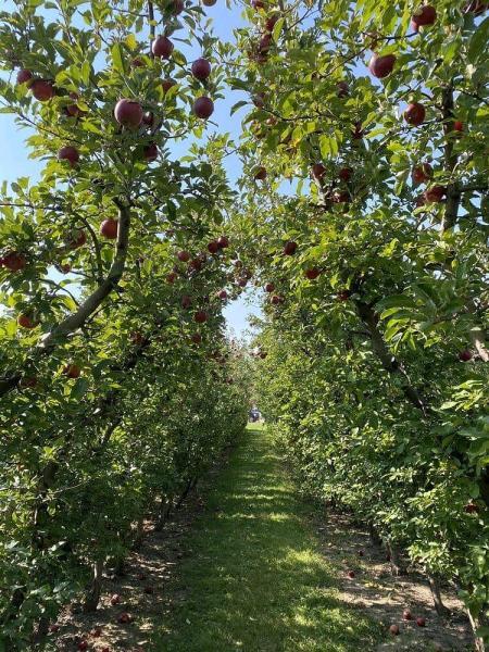 威斯康辛的农场盘点