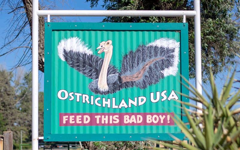 南加梦幻小镇 Buellton 小镇