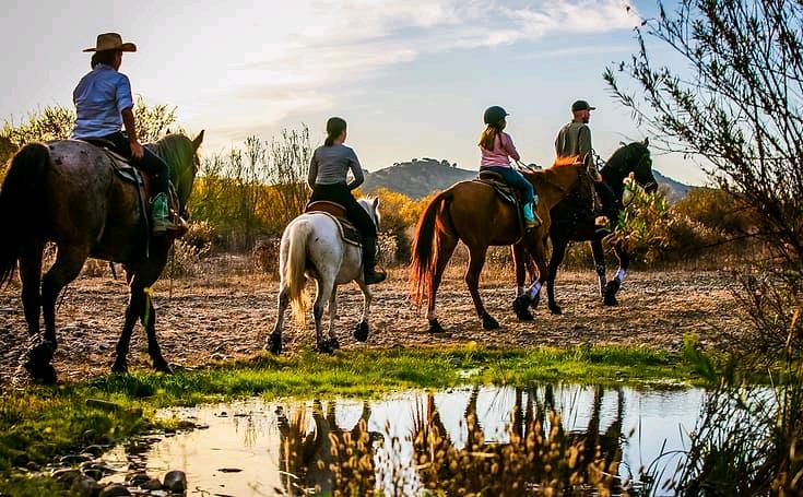 南加梦幻小镇 Buellton 小镇