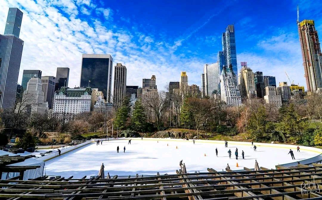 纽约溜冰场大合集
