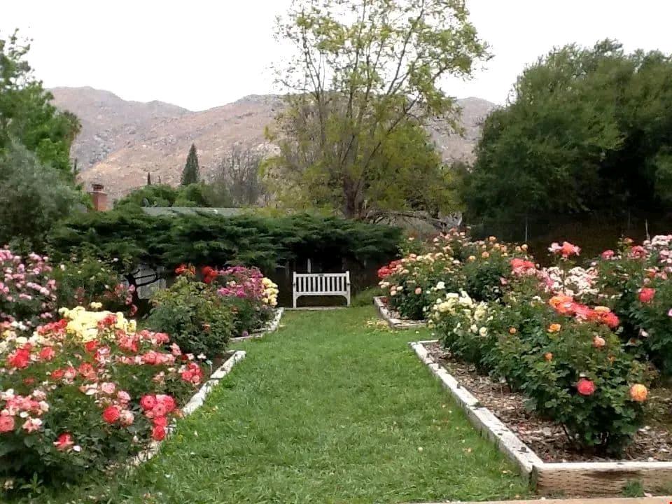 Riverside隐藏的网红景点打卡