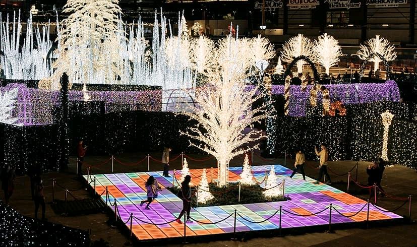 来湾区这些户外冰场上翩翩起舞吧!