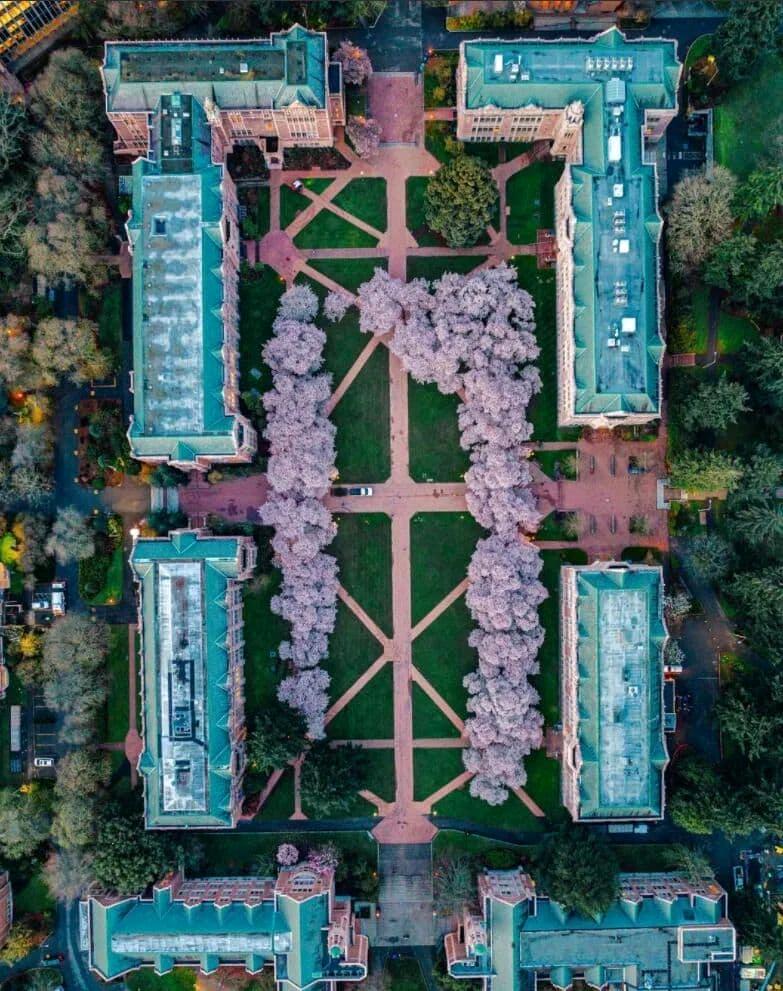 在不眠的西雅图邂逅浪漫