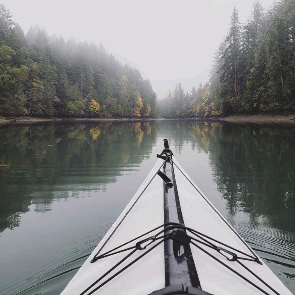 去Harstine Island 与自然一起玩吧