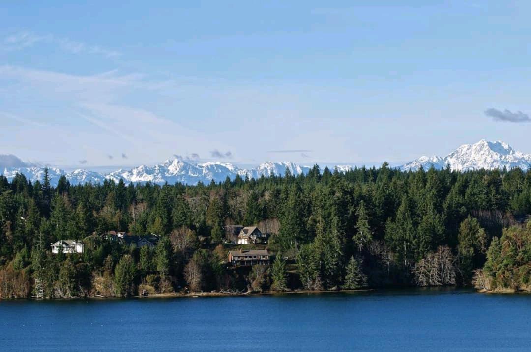 去Harstine Island 与自然一起玩吧