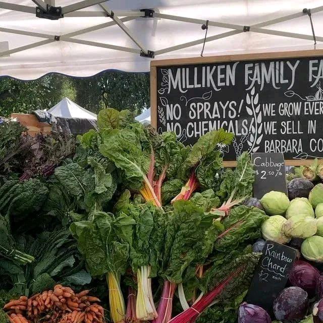 Ojai小镇的旅游攻略