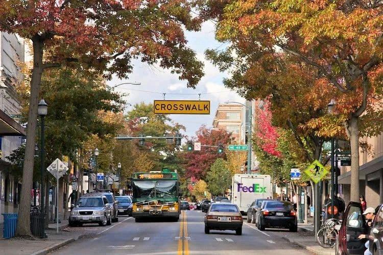 西雅图农贸市场合集