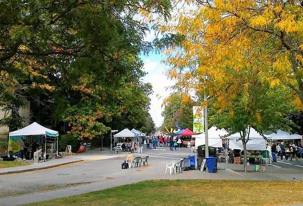 西雅图农贸市场合集