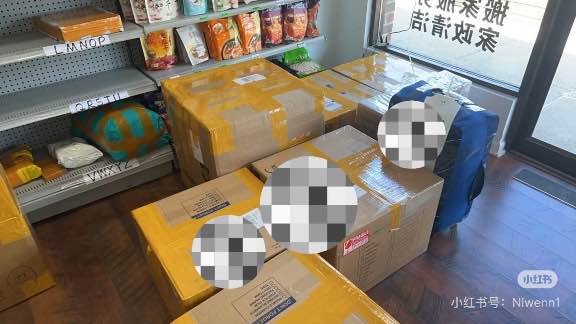 【你问】密歇根搬家、寄存、邮寄一条龙服务！